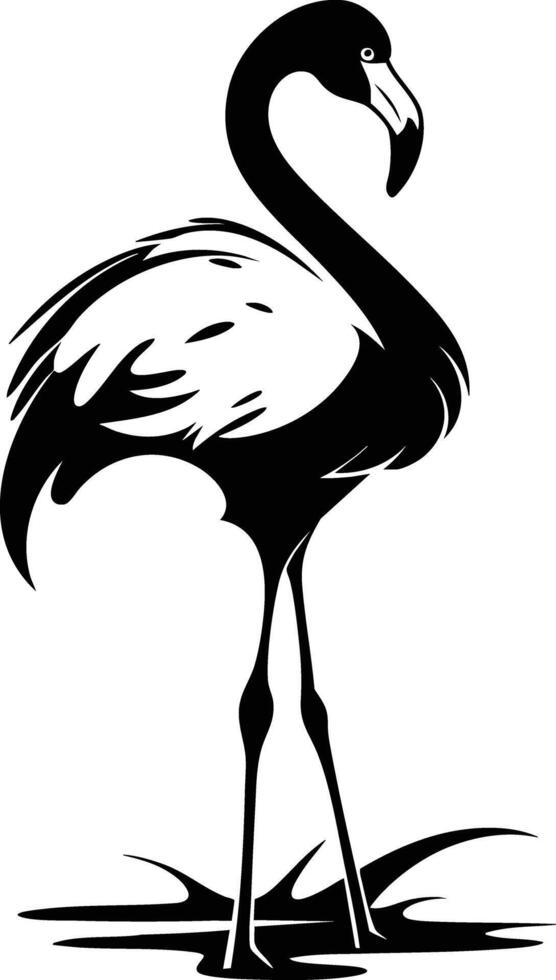 A Graceful Flamingo Stands in Shallow Water. vector