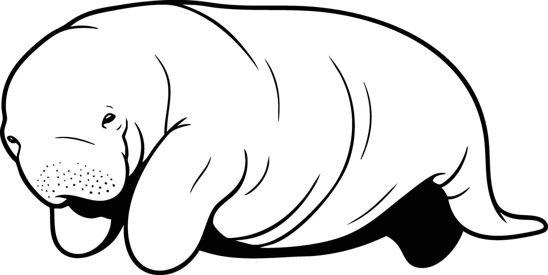 Gentle Giant, Manatee in Black and White vector