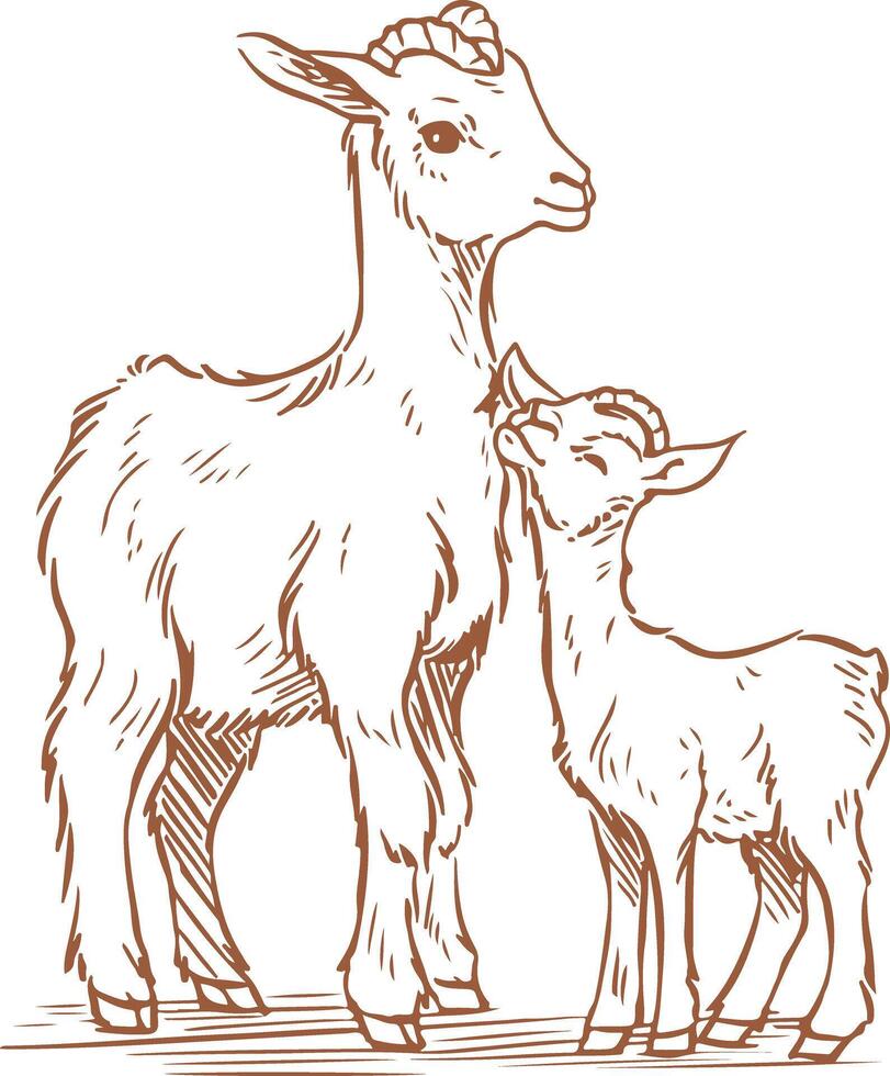 Mother and Baby Goat Illustration vector