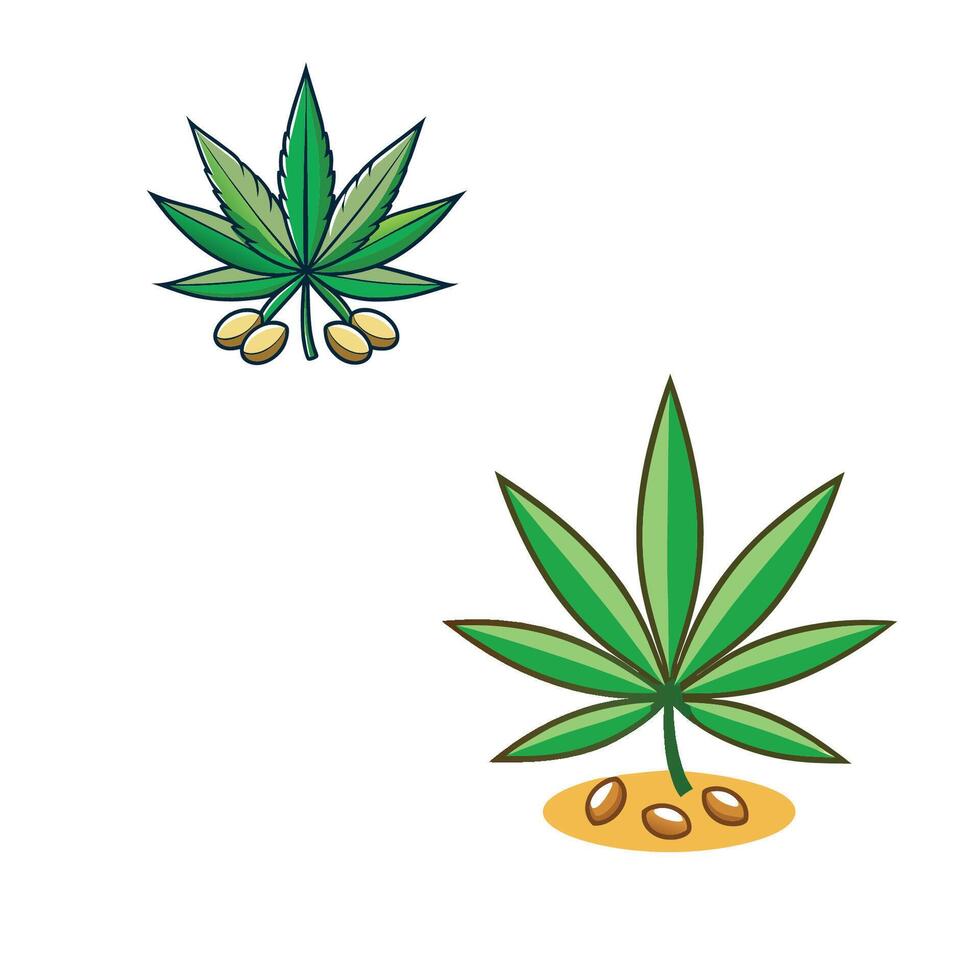 Marijuana plant and nuts on white background vector