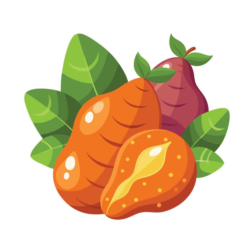 Carrots and pears with leaves on a white background vector