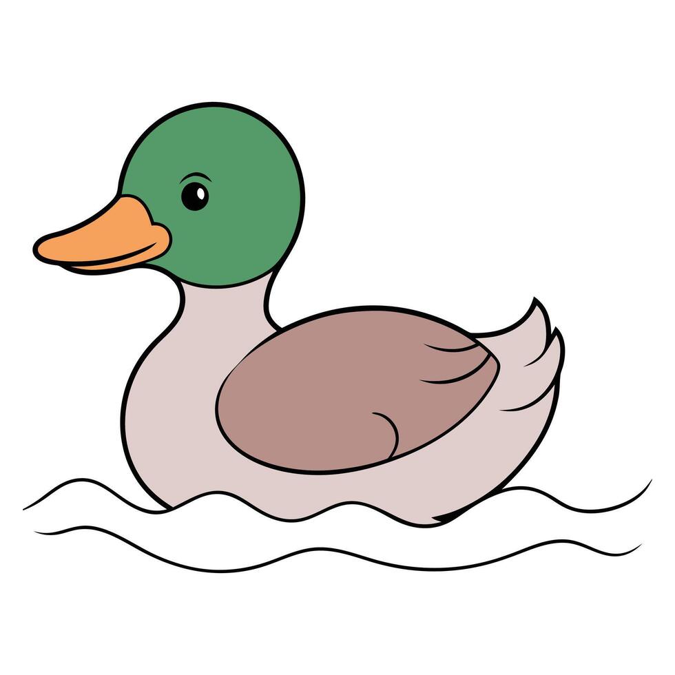 A duck swimming in the water on a white background vector
