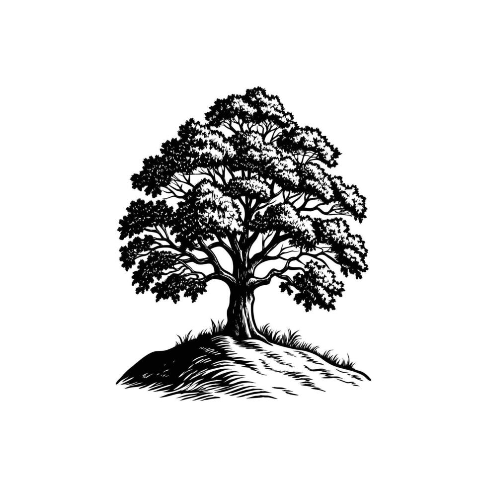 A Black Silhouette of Oak Tree with Leaves vector