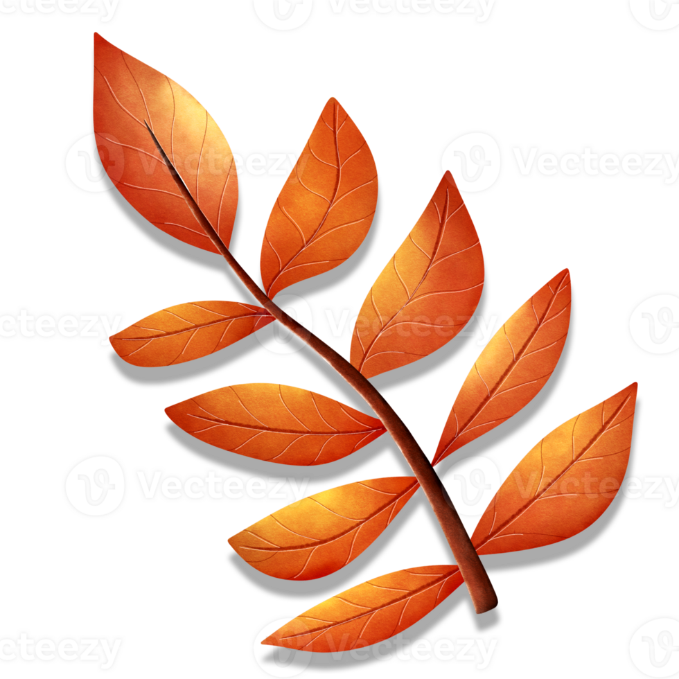 Autumn leaves watercolor Thanksgiving fall png