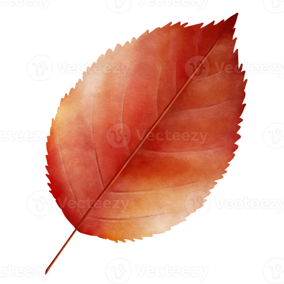 Thanksgiving Autumn Leaf in Warm Red Hues png