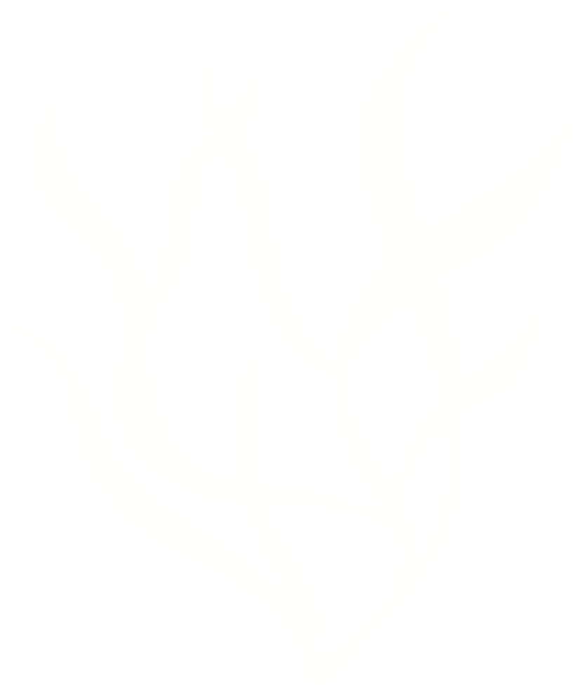 white color seaweed, concept png