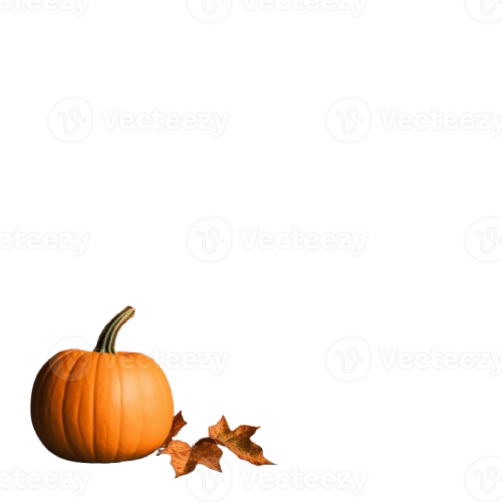 Halloween pumpkin on transparent background png