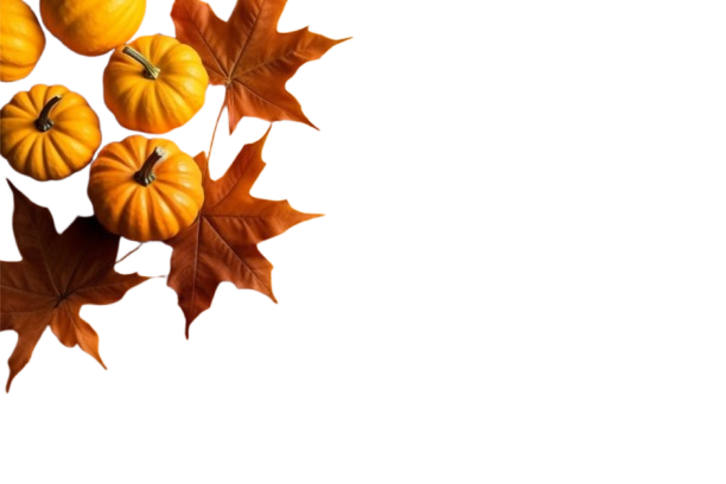 pumpkins and leaves on a transparent background png
