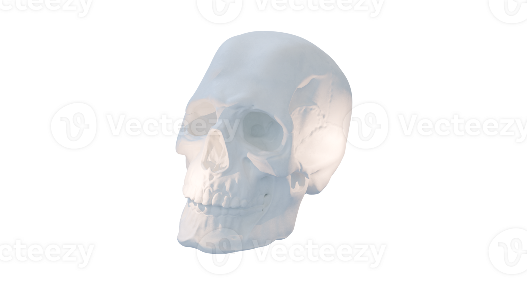 A white skull isolated png