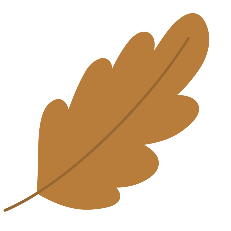 Autumn Oak Leaf png