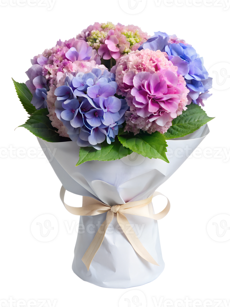 a bouquet of Hydrangea flower in a white package isolated on transparent background png