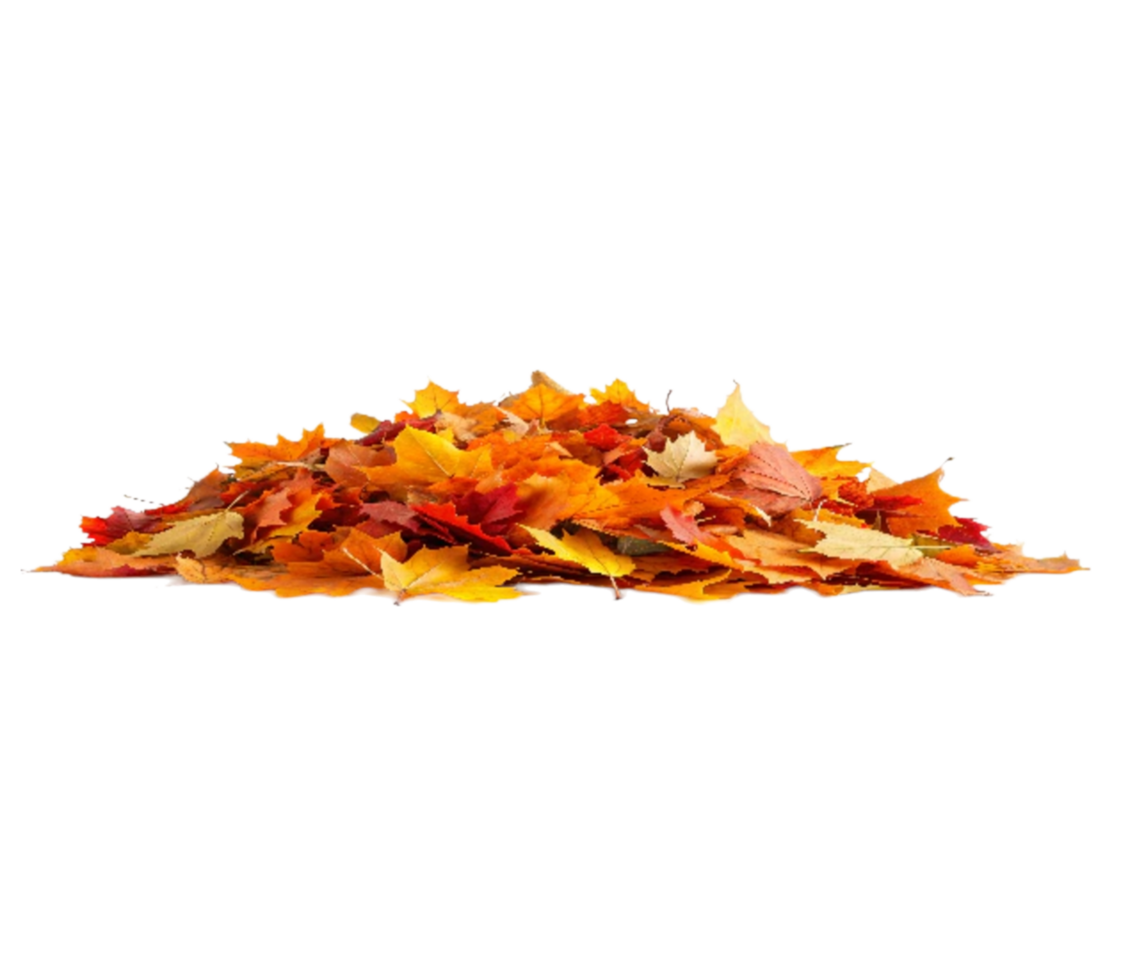 Pile of colorful autumn leaves creating seasonal atmosphere on transparent background png