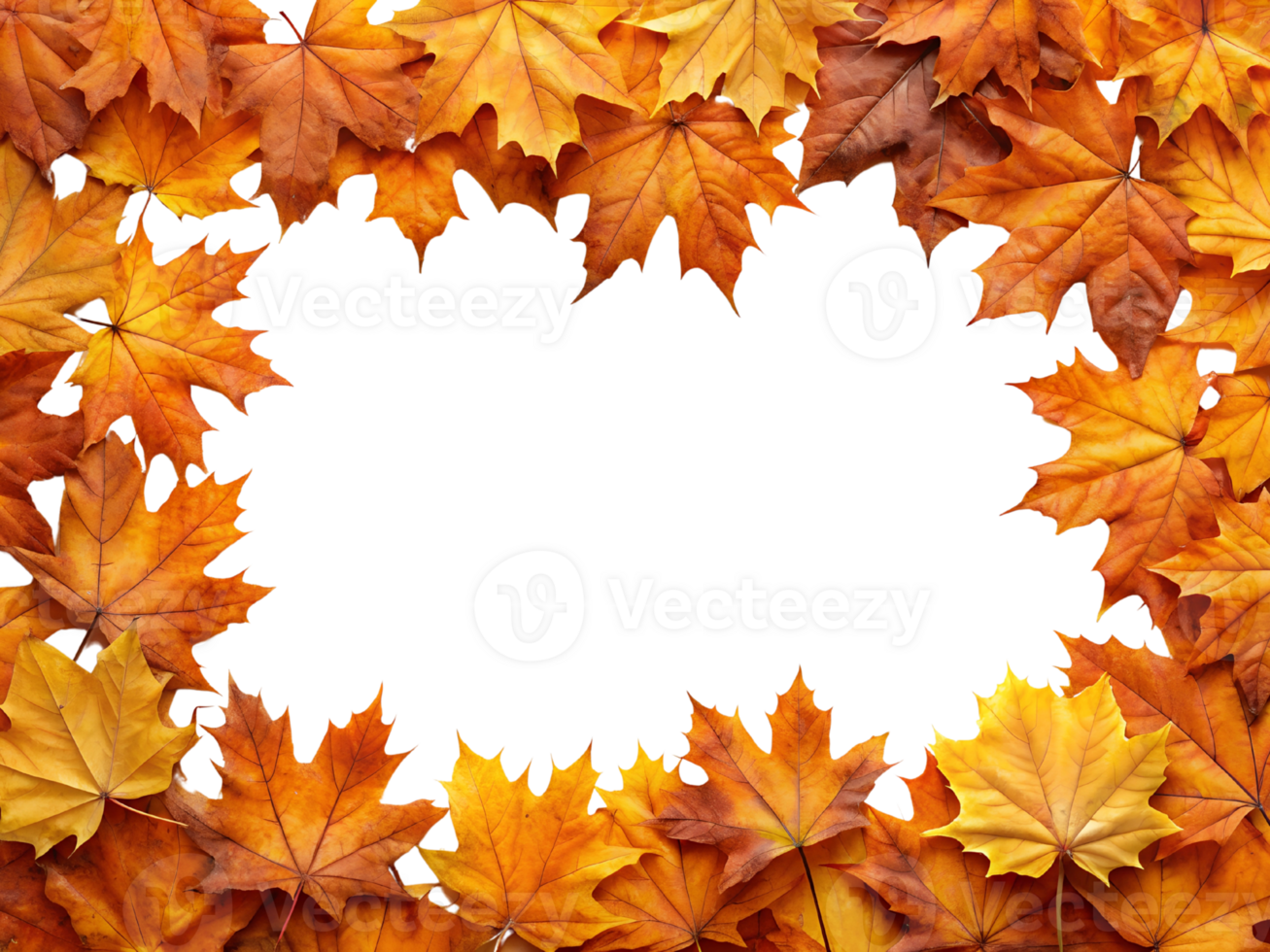 Autumn Leaf Frame for Seasonal Borders and Nature-Inspired Designs. png