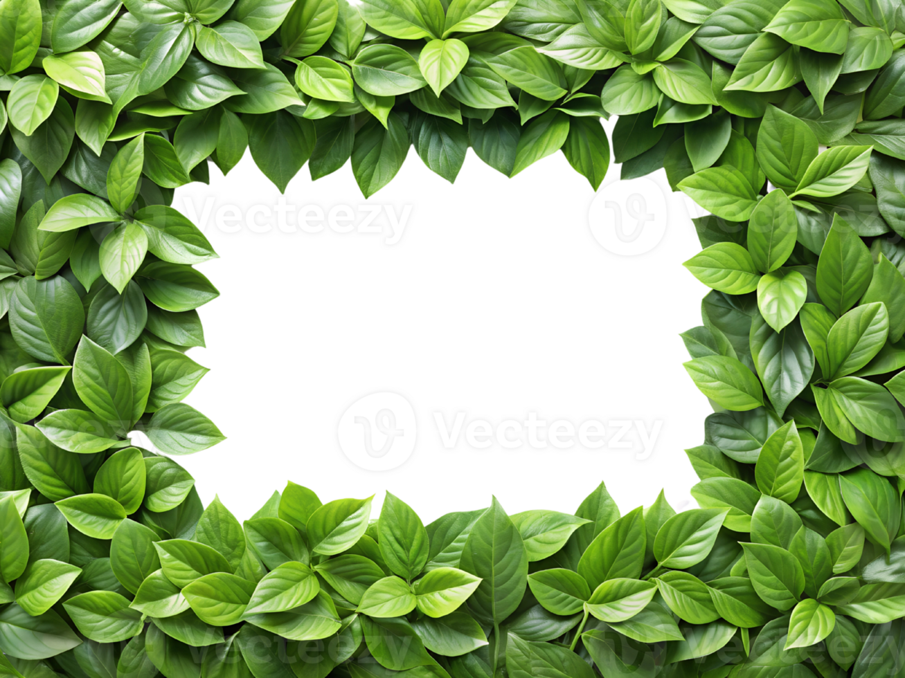 Green Botanical Leaf Frame for Nature-Inspired Borders and Eco-Friendly Designs. png