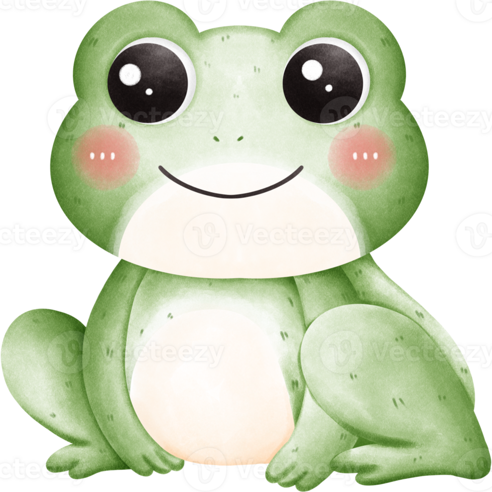 Amphibians such as frogs png