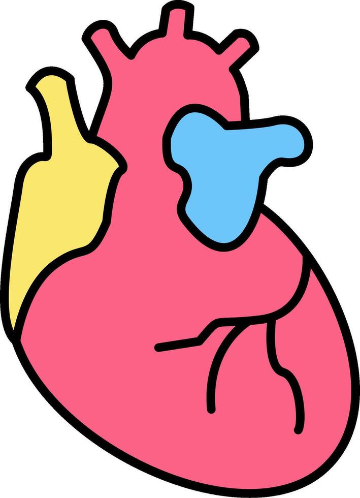 An illustration of a human heart vector