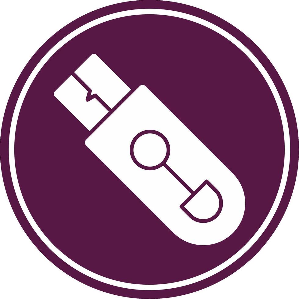 Flash Drive Glyph Circle Icon vector