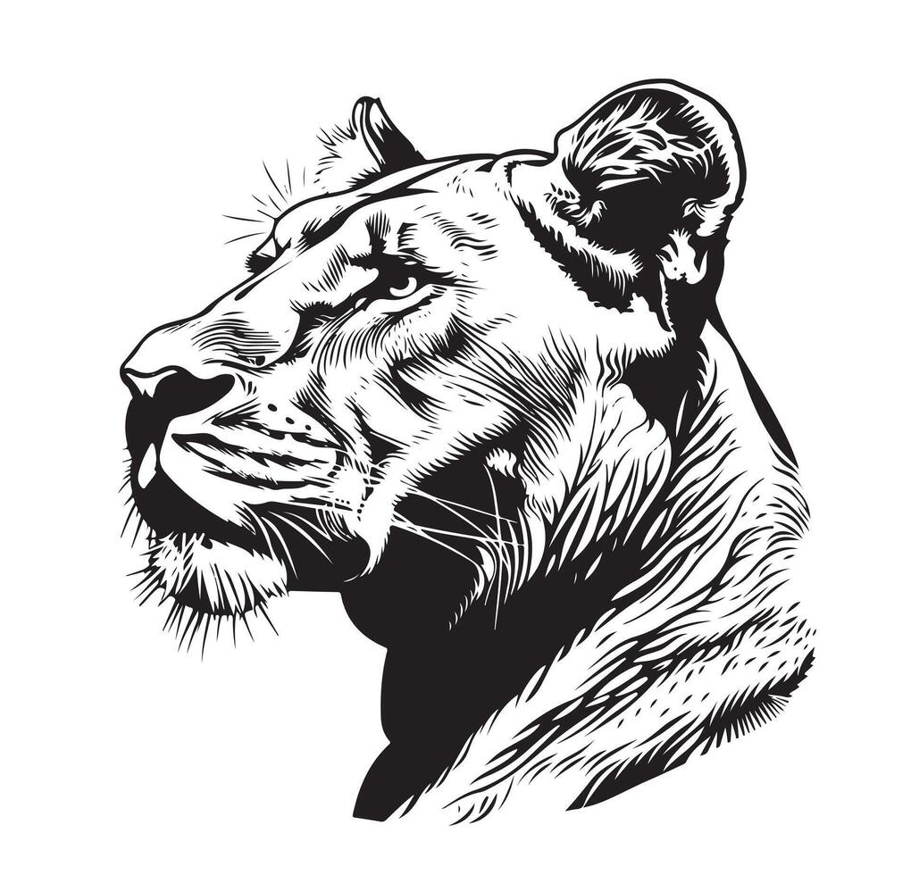 Lioness portrait hand drawn vector