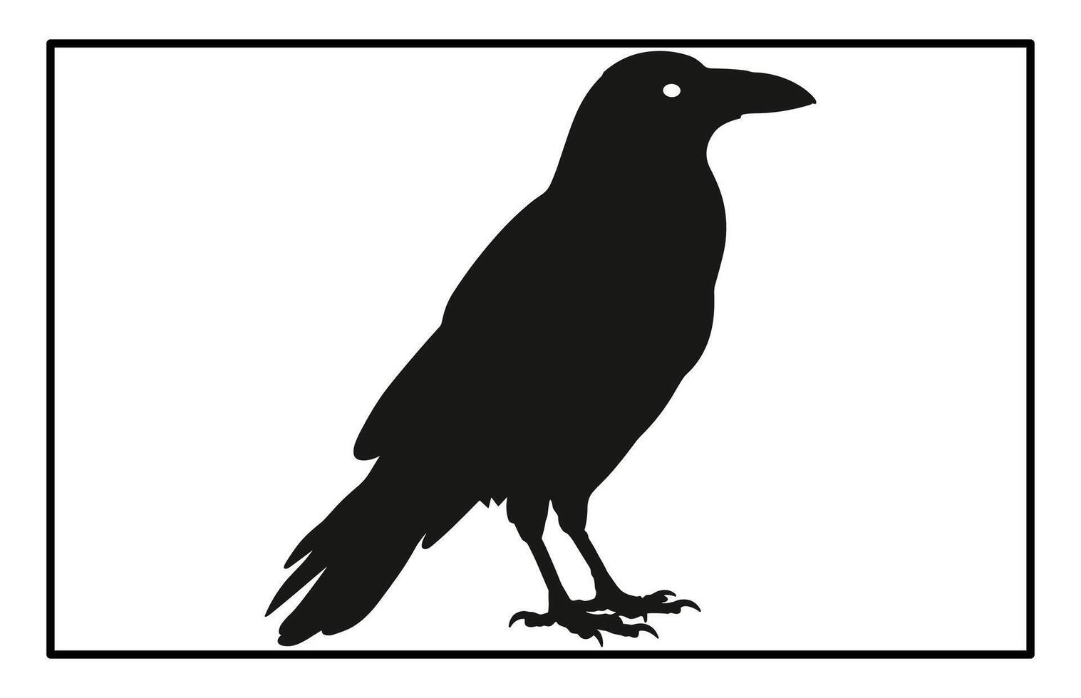 Detailed Raven Silhouette Dark and Elegant Bird Design vector