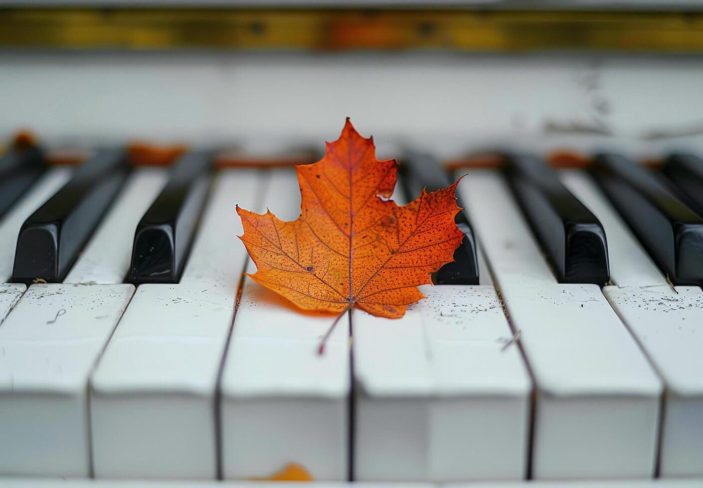 otoño hoja descansando en piano llaves foto
