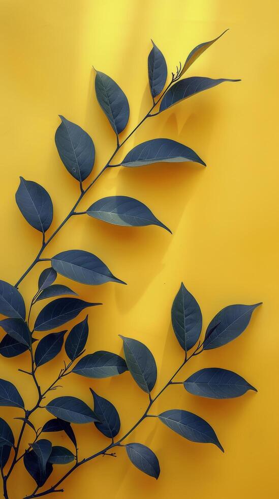 Green Leaf Plant on Yellow Background photo