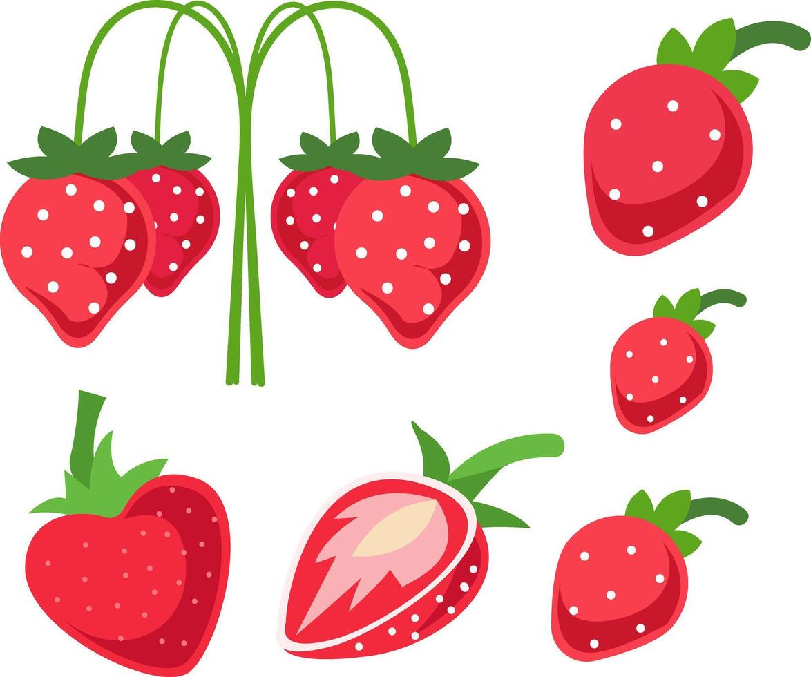 Illustration of Fresh Strawberries Fruit vector