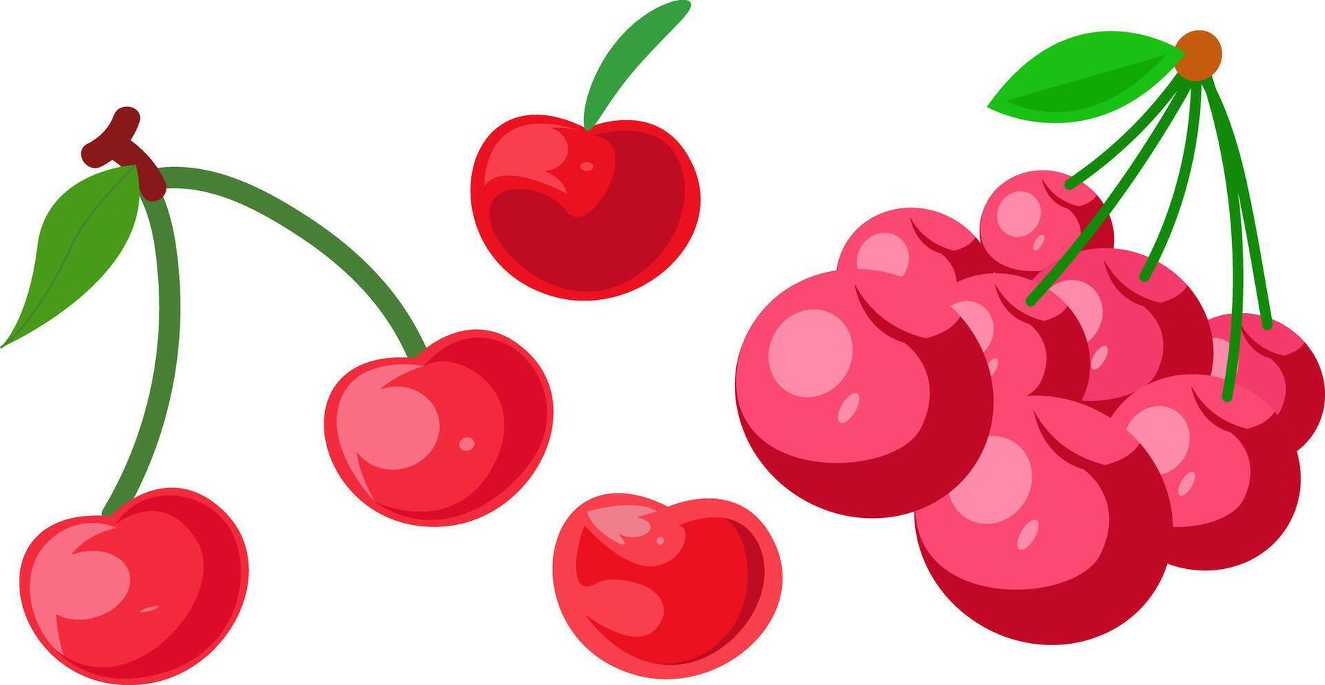 Bright Red Cherries Illustration with Leaves vector