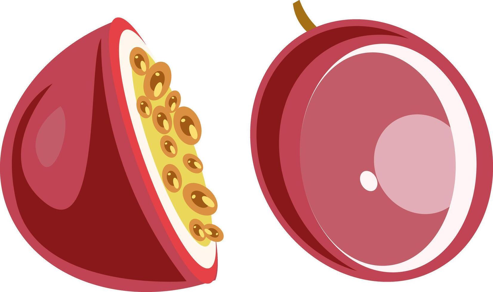 Illustration of Passion Fruit Whole and Cut vector