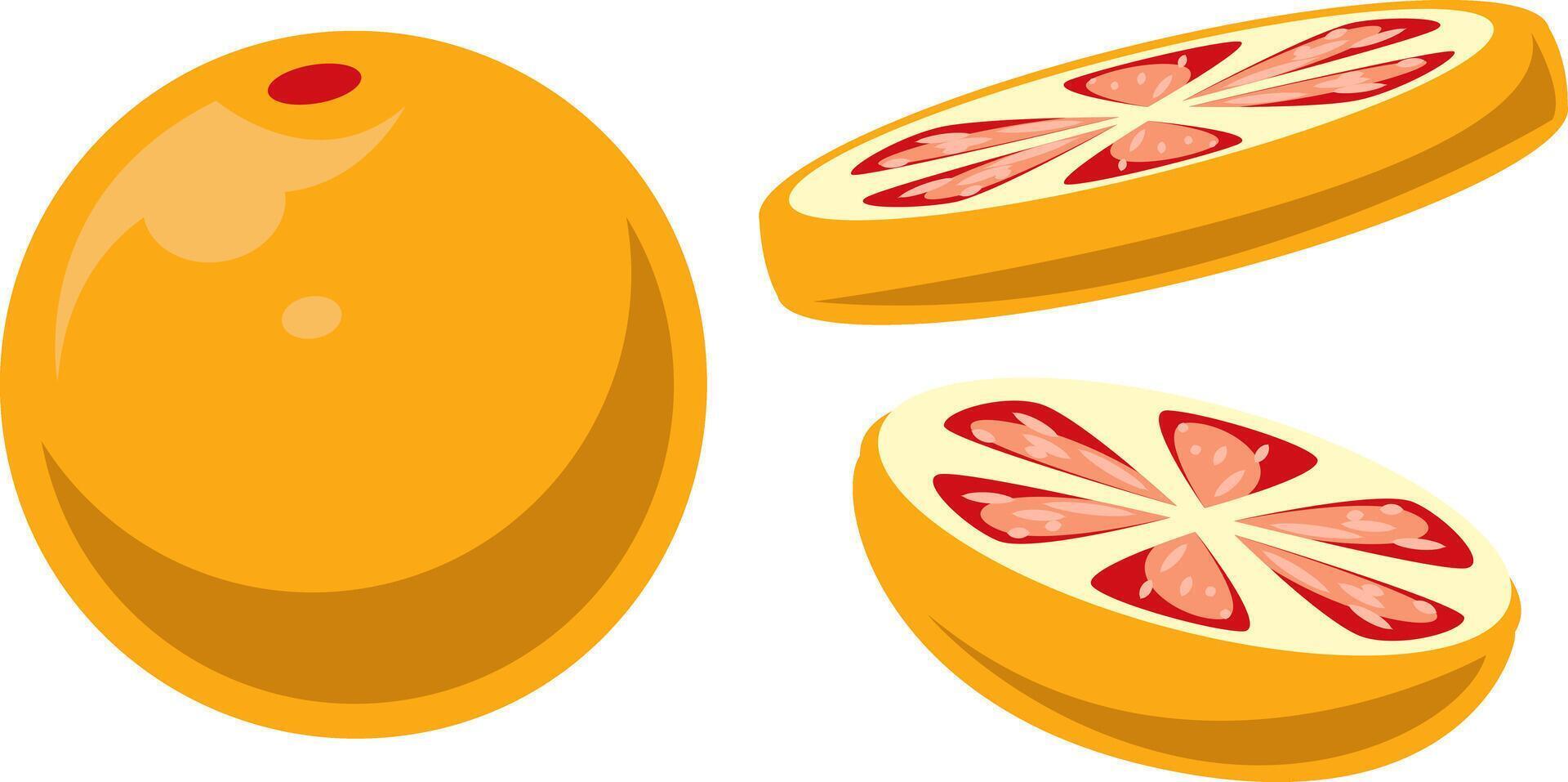 Fresh Juicy Grapefruit and Slices Illustration vector