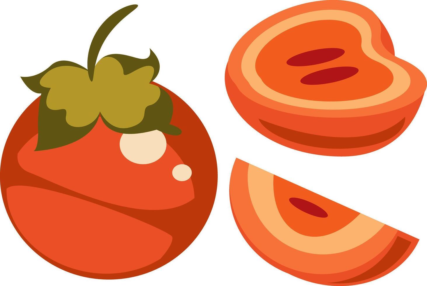 Illustration of Fresh Persimmon Fruit vector