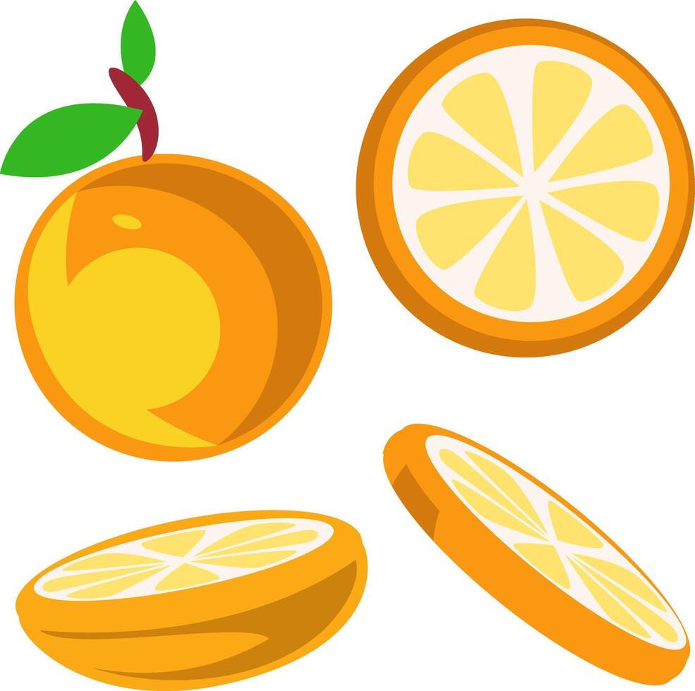 Fresh Juicy Orange and Slices Illustration vector