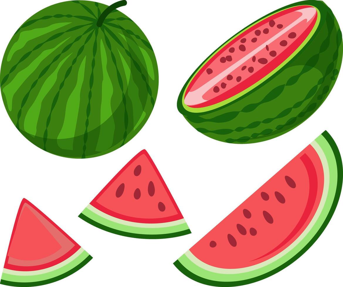 Refreshing Watermelon Illustrations, Whole Halved, and Sliced vector