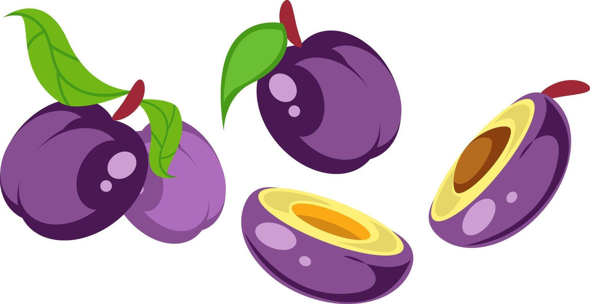 Fresh Purple Plums with Leaves Illustration vector