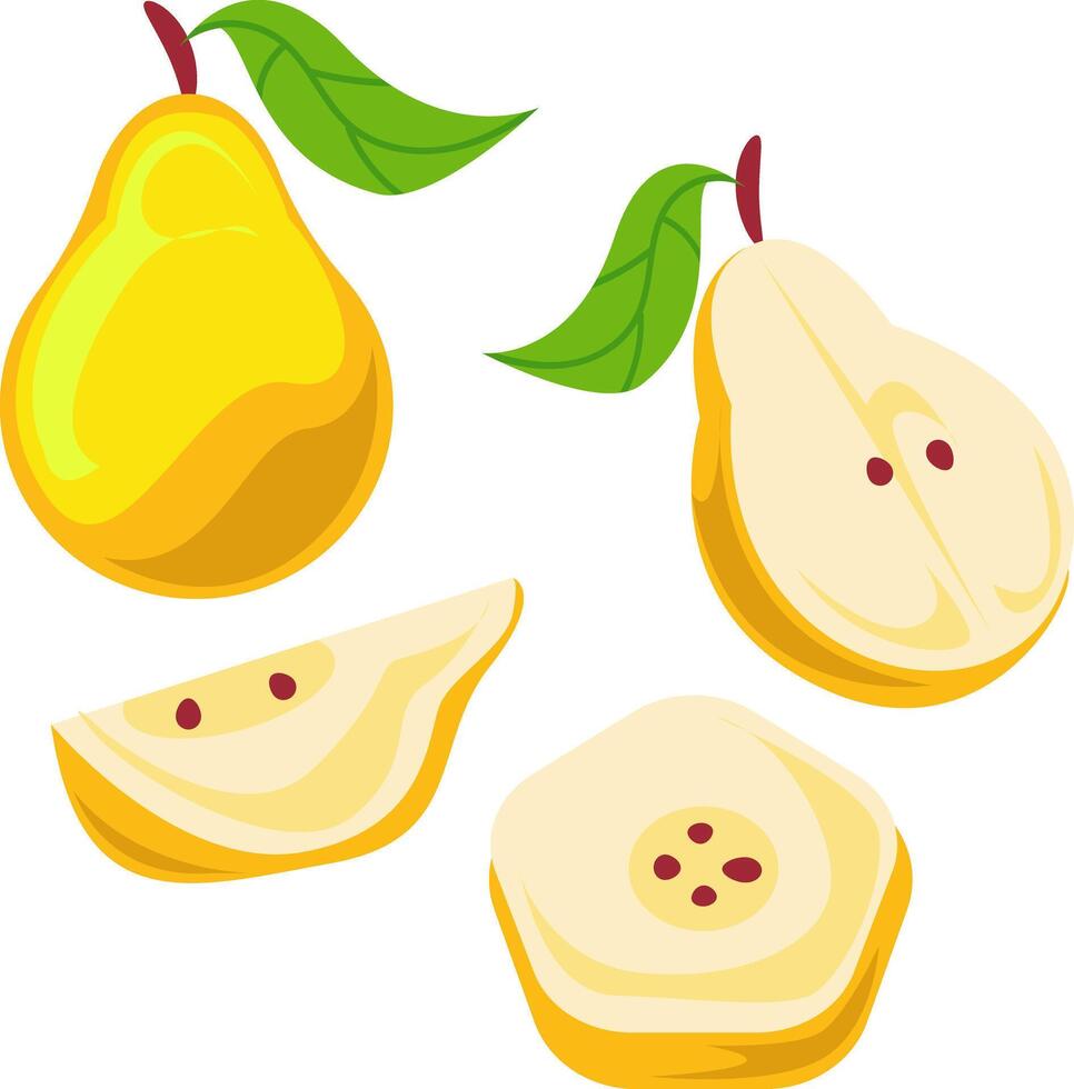 Illustration of Fresh Quince Fruits with Different Cuts vector