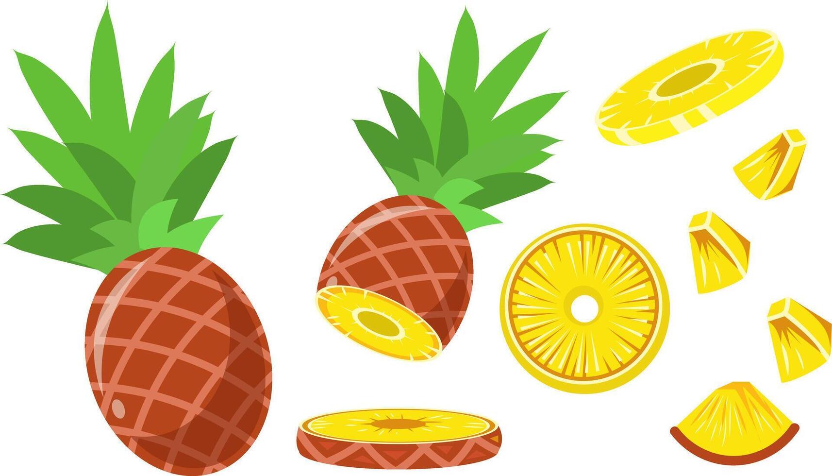 Fresh Pineapple Slices and Chunks Illustration vector