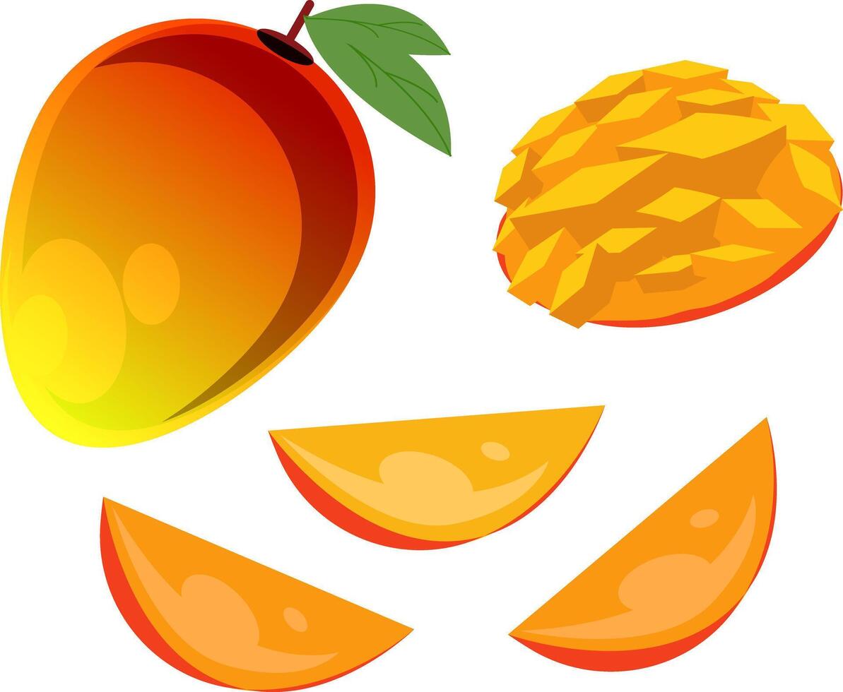 Mango Illustration, Tropical Fruit Graphic vector
