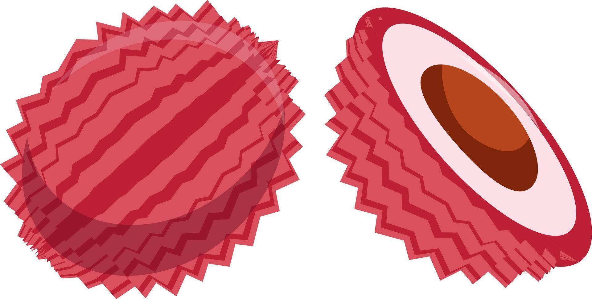 Illustration of Lychee or Litchi Fruit vector
