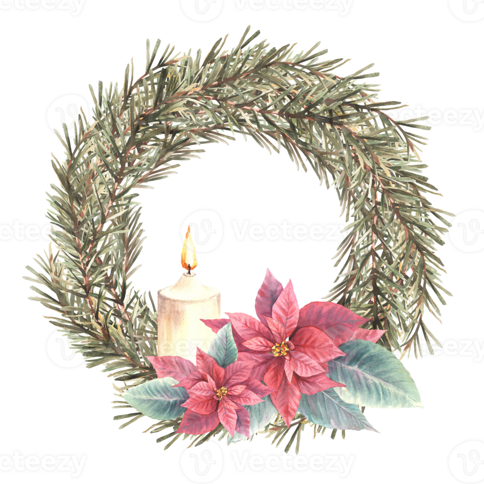 Christmas spruce branches evergreen advent wreath with red poinsettia flowers and burning white candle. Watercolor hand drawn illustration Circle template for festive card. Isolated from background. png