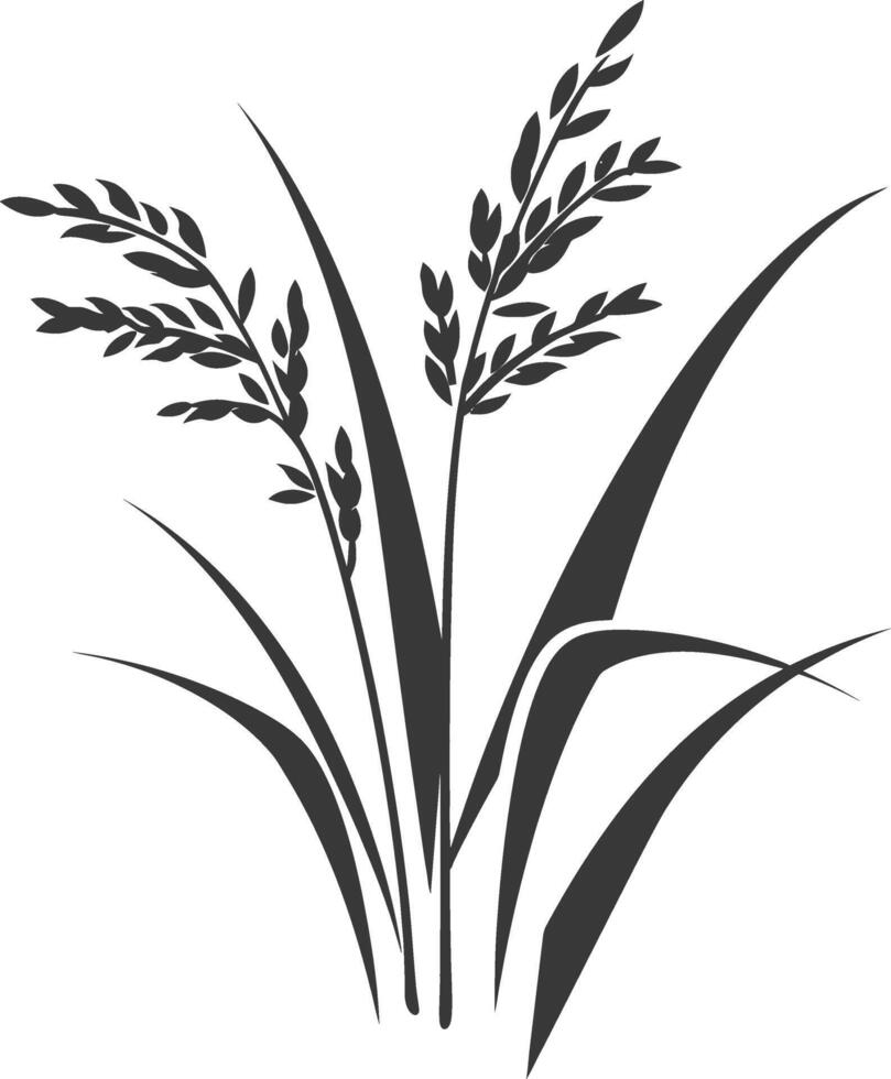 Rice plant silhouette vector
