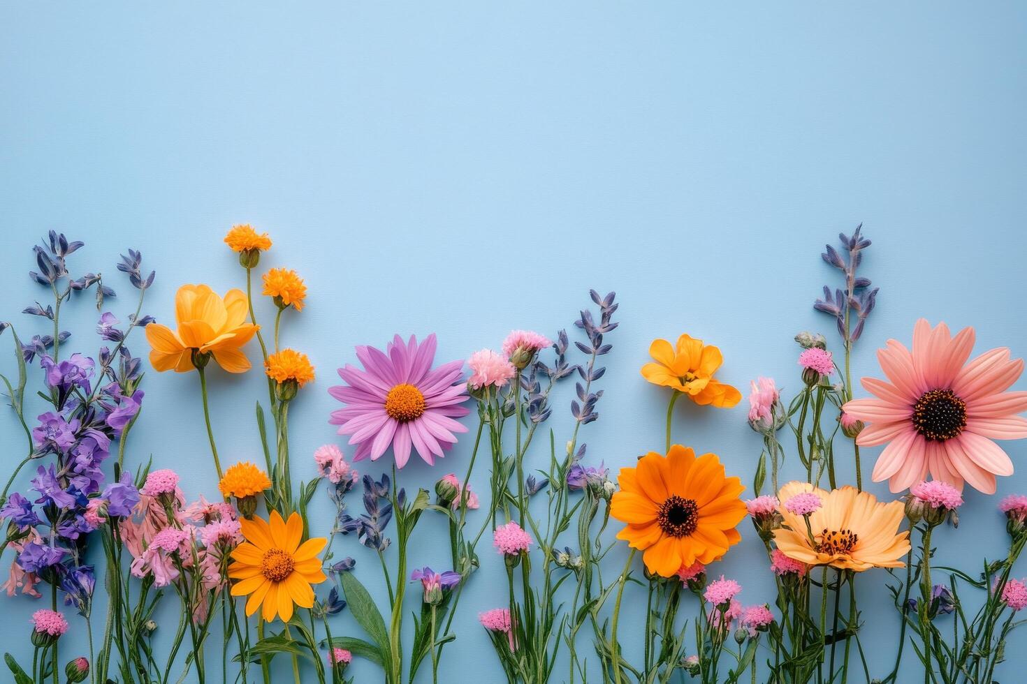 Colorful arrangement of various flowers on a light blue background showcasing natural beauty photo