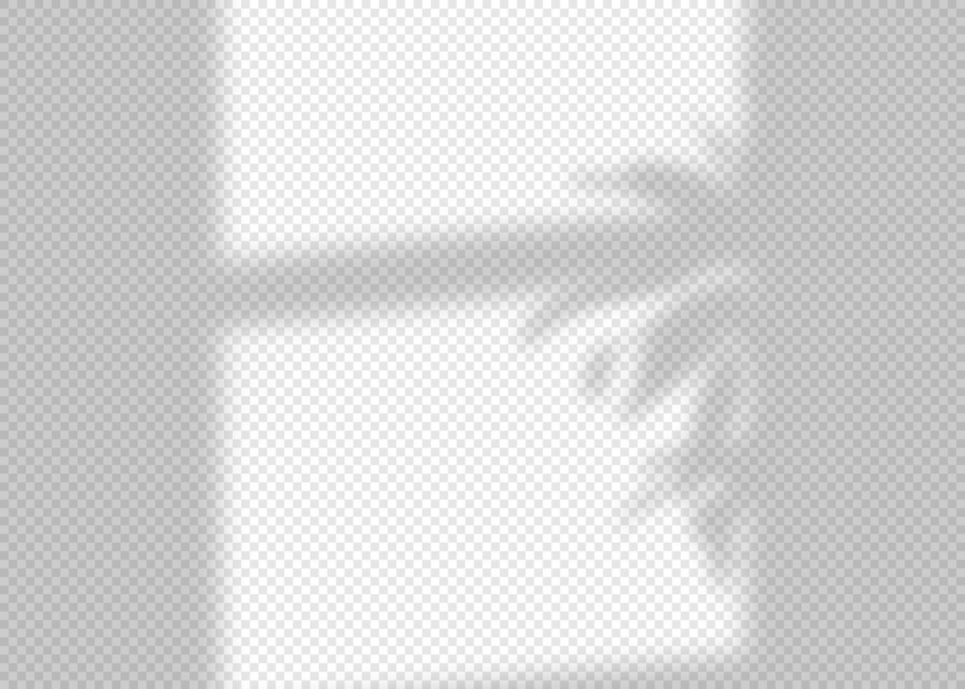 Shadow overlay effect for photo and mockup. Realistic soft blurred shadow of window frame with plant leaves and branches on light background. illustration of wall with natural sunlight vector
