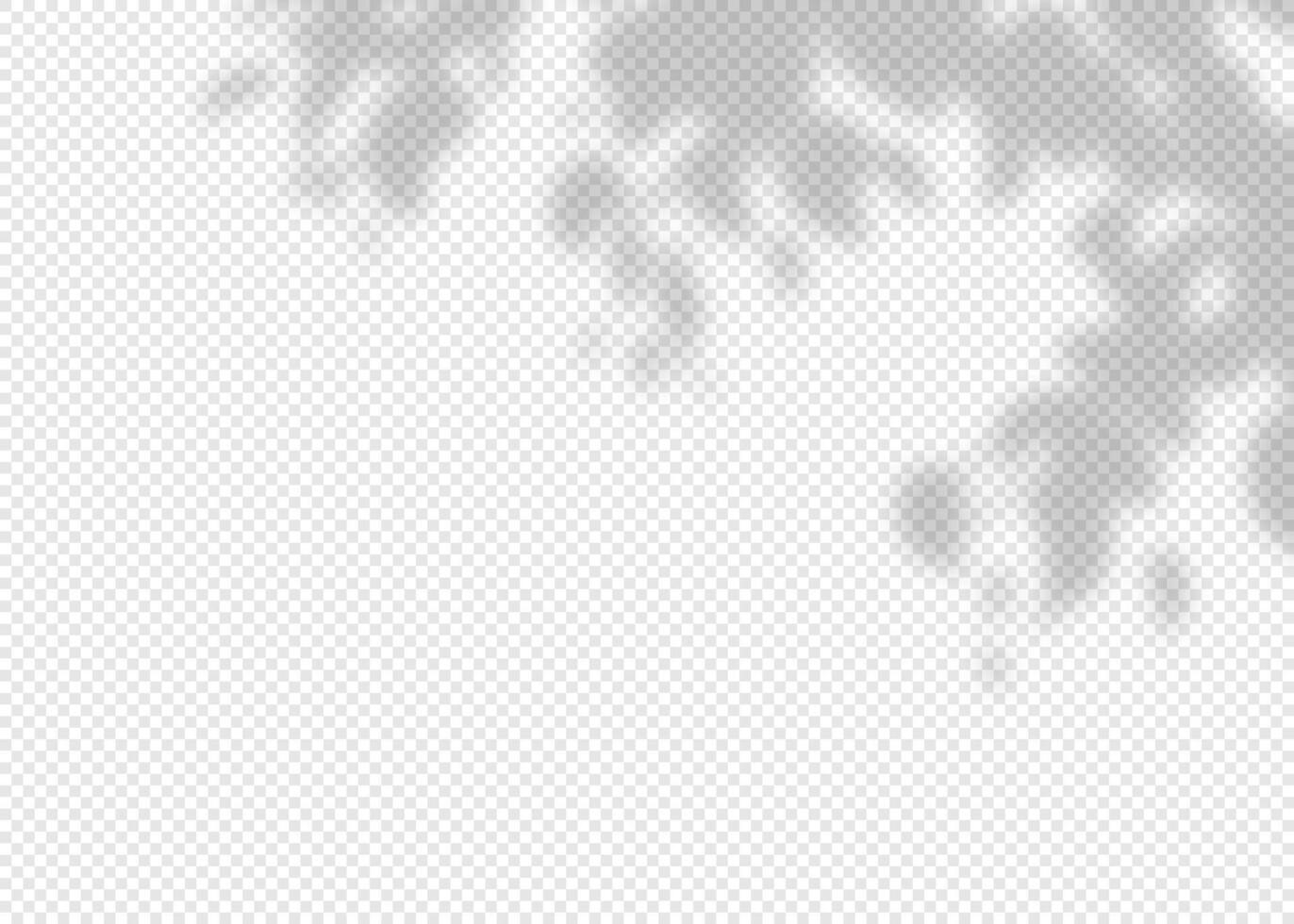Shadow overlay effect for photo and mockup. Realistic soft blurred shadow of tree branches and leaves on light background. illustration of wall with natural sunlight falling vector