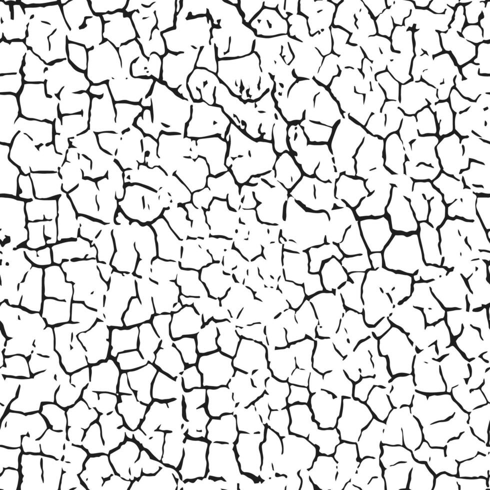A seamless pattern of dry cracked texture of soil or old paint. A grunge black and white illustration with a scratched surface effect. vector