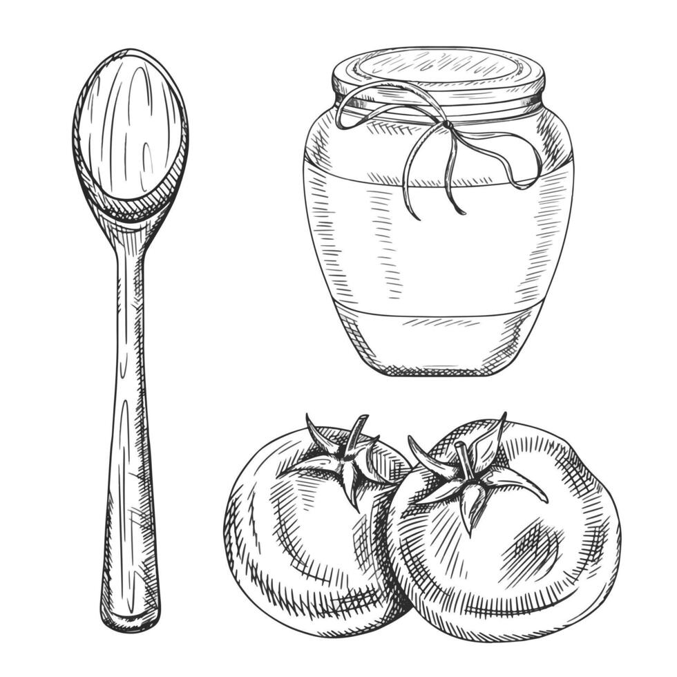 illustration of a set of tomatoes, a jar of sauce and a wooden large spoon. Kitchen utensils, tools, dishes. Hand drawn illustration in line art in black ink, isolated background vector