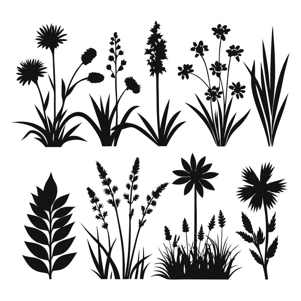 A collection of black and white images of plants and flowers illustration vector