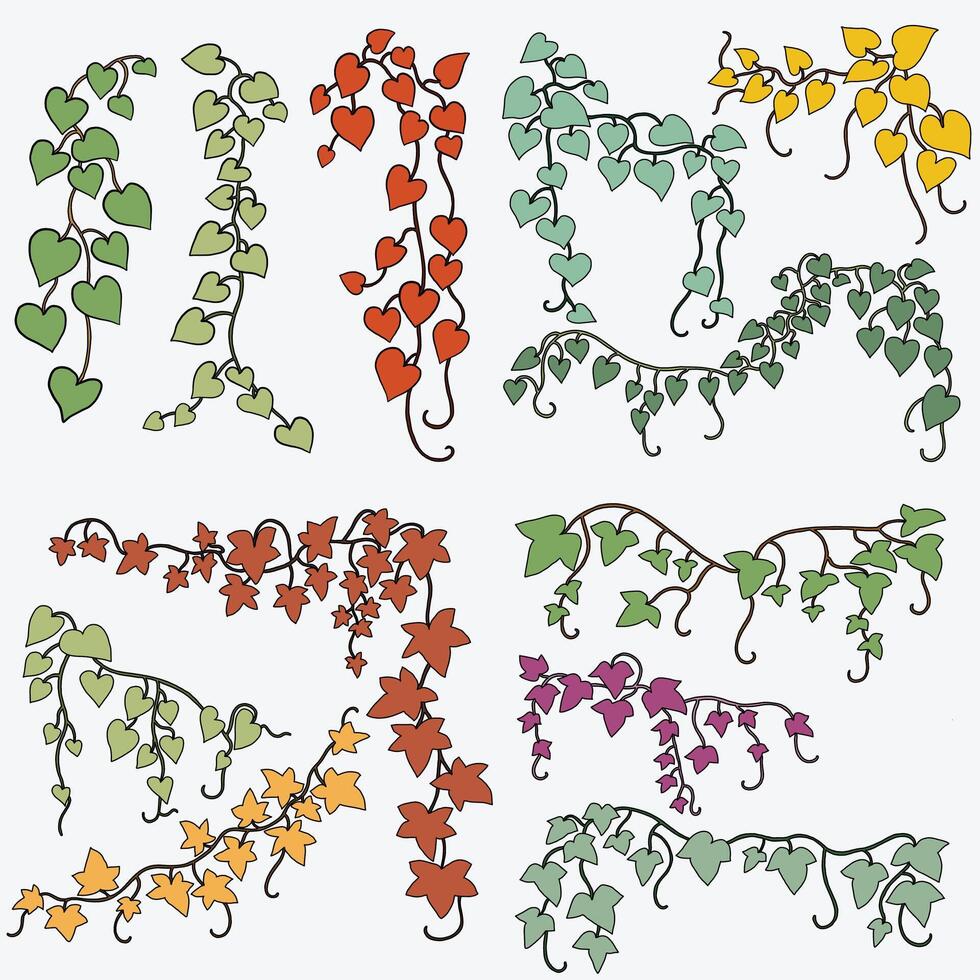 Floral ivy drawing decorative ornament flat design collection. vector