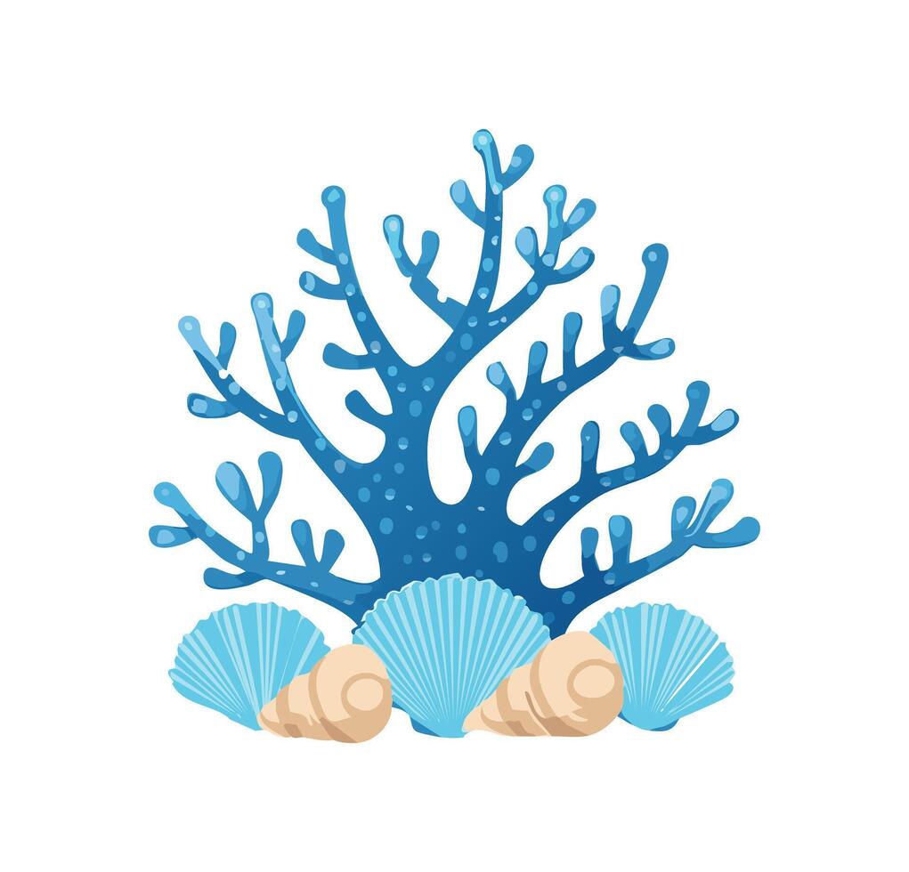 Coral and Sky Blue Shells vector