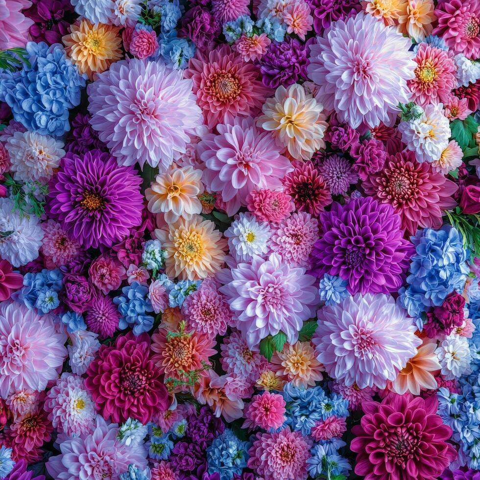A vibrant array of multicolored flowers arranged beautifully on a floral backdrop photo