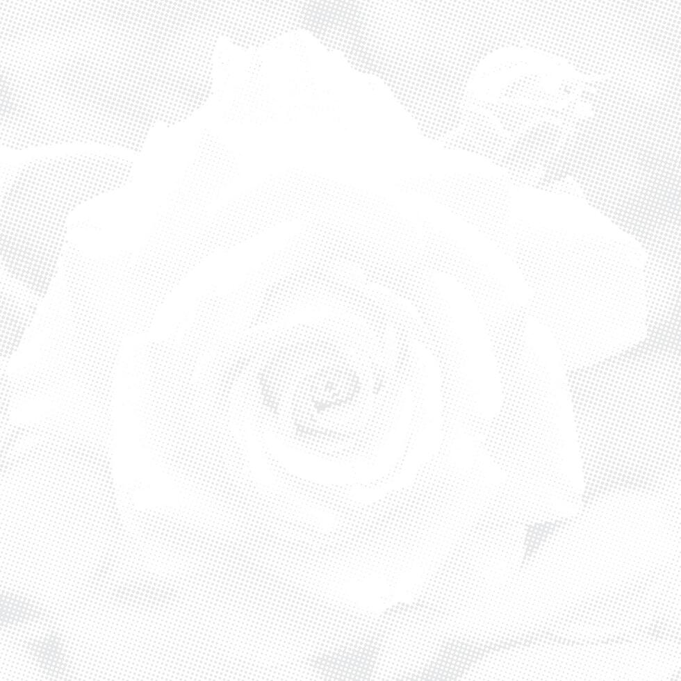 abstract minimalis gray rose halftone background. illustration vector