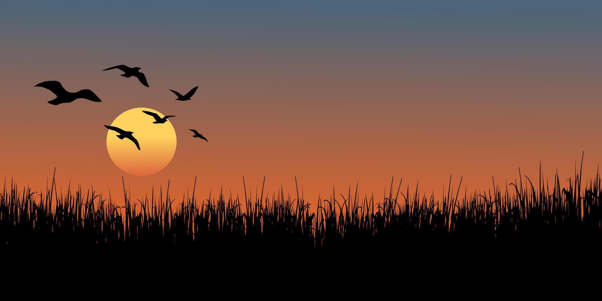 Sunset background with flying birds and grass silhouette vector